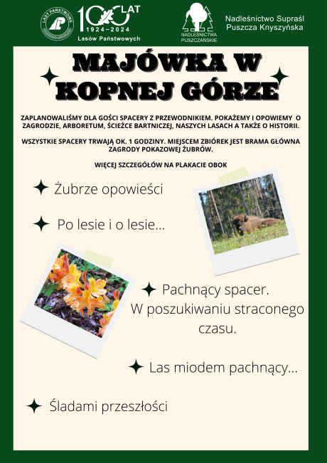 Majówka w Kopnej Górze